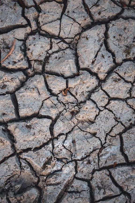 Föld, aszály, talaj, száraz, száraz évszak, sár, erózió, por, pusztaság, geológia
