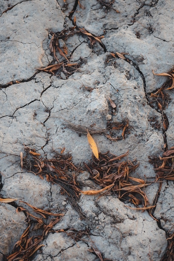 earth, drought, dry, dry season, leaves, textile, nature, ground, mud, dirty