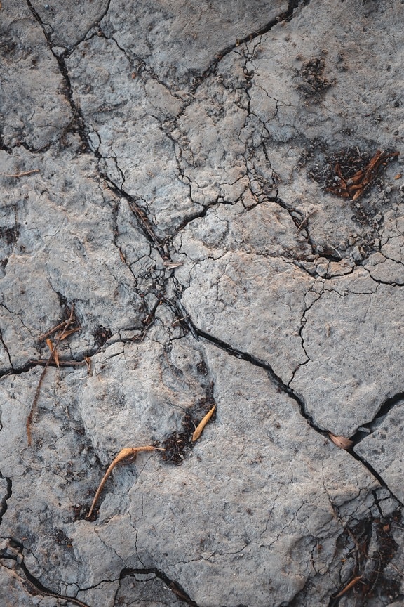 suša, tekstura, zemlja, tlo, suho, suha sezona, geologija, blato, grubo, priroda