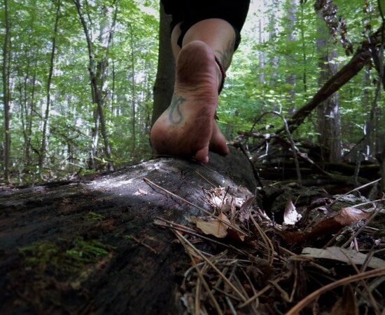 naboso, nohy, špinavý, kmen stromu, les, nohy, listy, noha, krásné, strom