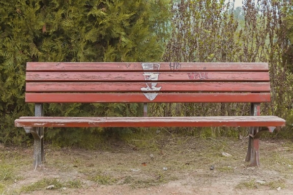 vandalismo, grafite, de madeira, banco, parque, velho, decadência, assento, madeira, natureza