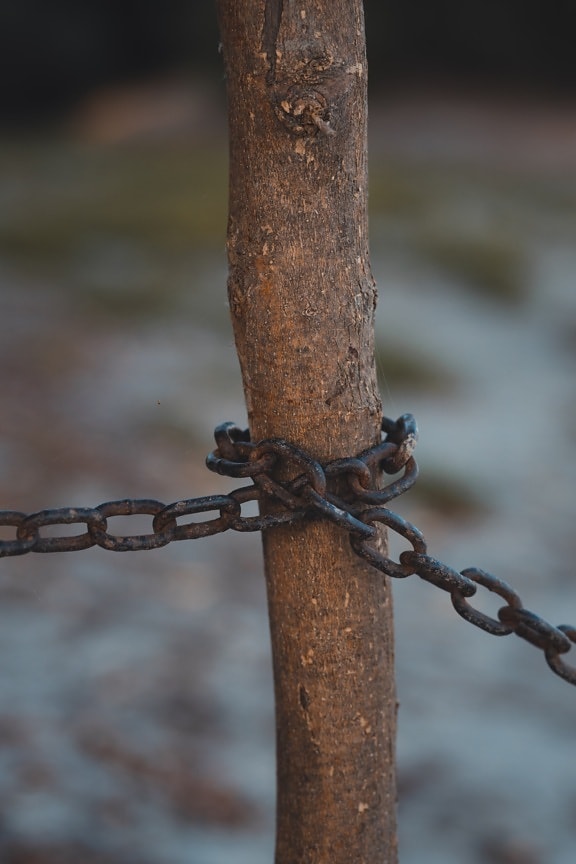 wooden, pole, chain, cast iron, iron, steel, rust, security, strength, old