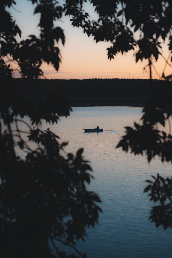 fisherman, silhouette, dusk, lake, water, tree, dawn, nature, wood, scenic