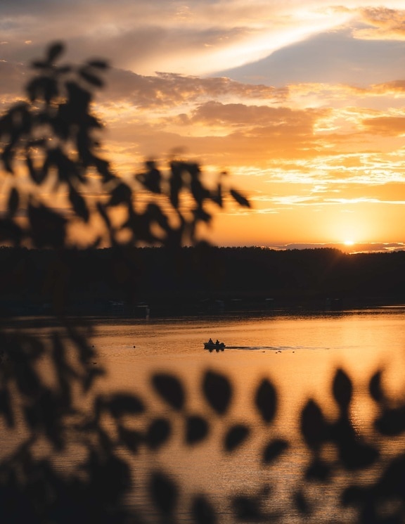 solnedgång, sjön, sjösidan, avstånd, siluett, båt, gryning, vatten, solen, skymning