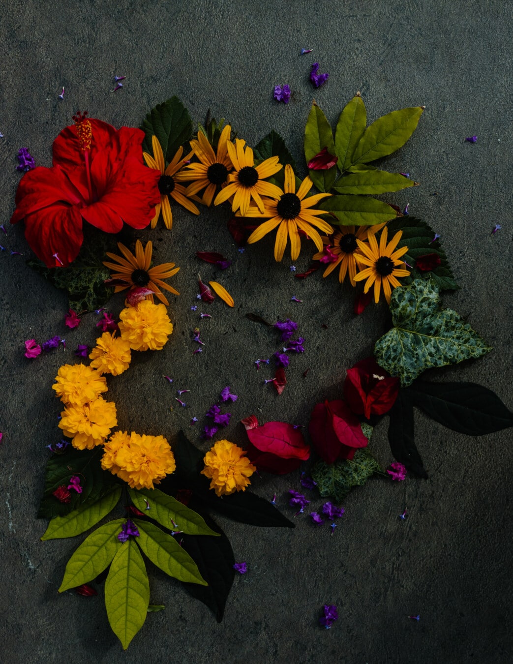 trang trí, hoa, hình dạng, trái tim, thực vật, sắp xếp, hoa, lá, yêu, vẫn còn sống