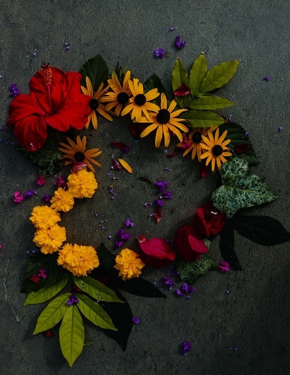 dekoráció, virágok, alakzat, szív, növény, elrendezése, virág, levél, szerelem, csendélet