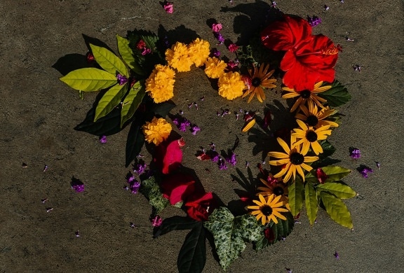 心, スティル ・ ライフ, 図形, 花, カラフルです, ロマンチックです, 愛, 美しい, 葉, 工場