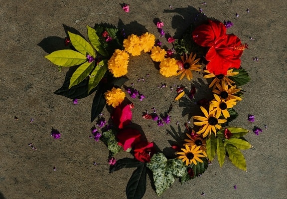 amour, décoration, coeur, fleurs, arrangement, artistique, créativité, fleur, feuille, nature