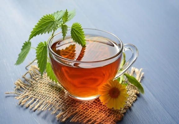 herbata, pokrzywy, Olejek eteryczny, olej, zioło, mięta, nagietka, napój, zielonych liści, medycyna