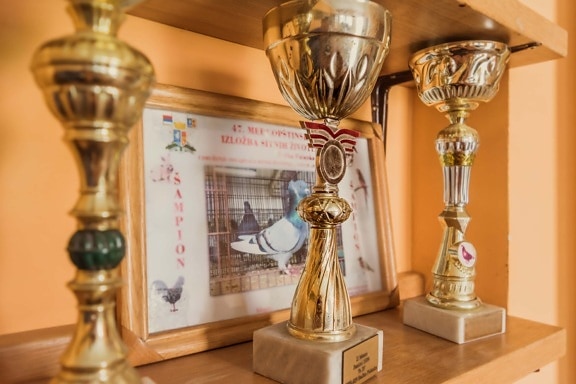 shining trophy, award, memorabilia, achievement, prize, victory, brass, luxury, decoration