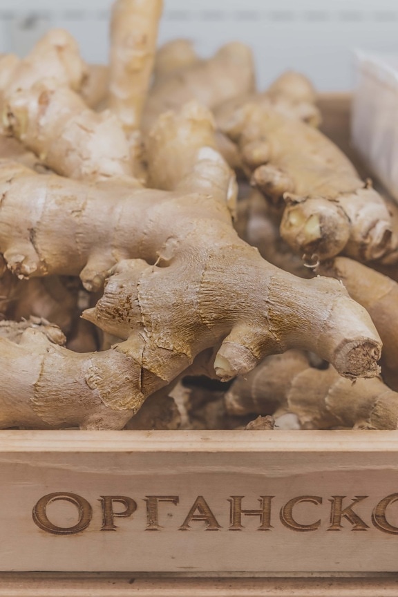 roots, root, ginger, products, organic, healthy, spice, herb, plant, food