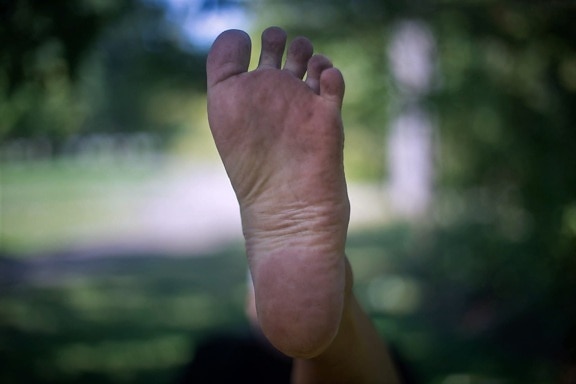 voet, blote voeten, been, vingertop, huid, vinger, vuile, mooie, buitenshuis