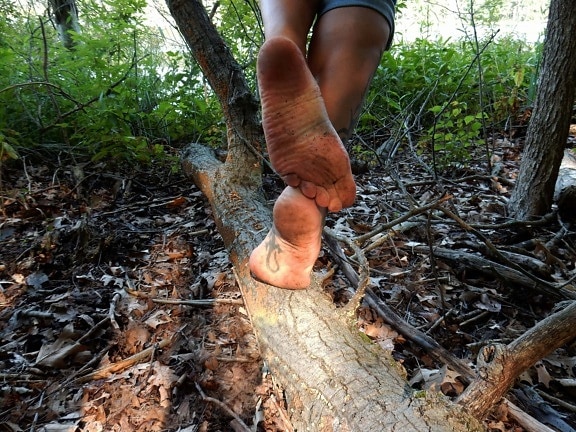 pieds nus, jambes, tronc d’arbre, sol, marche, sol, forêt, pied, nature, arbre