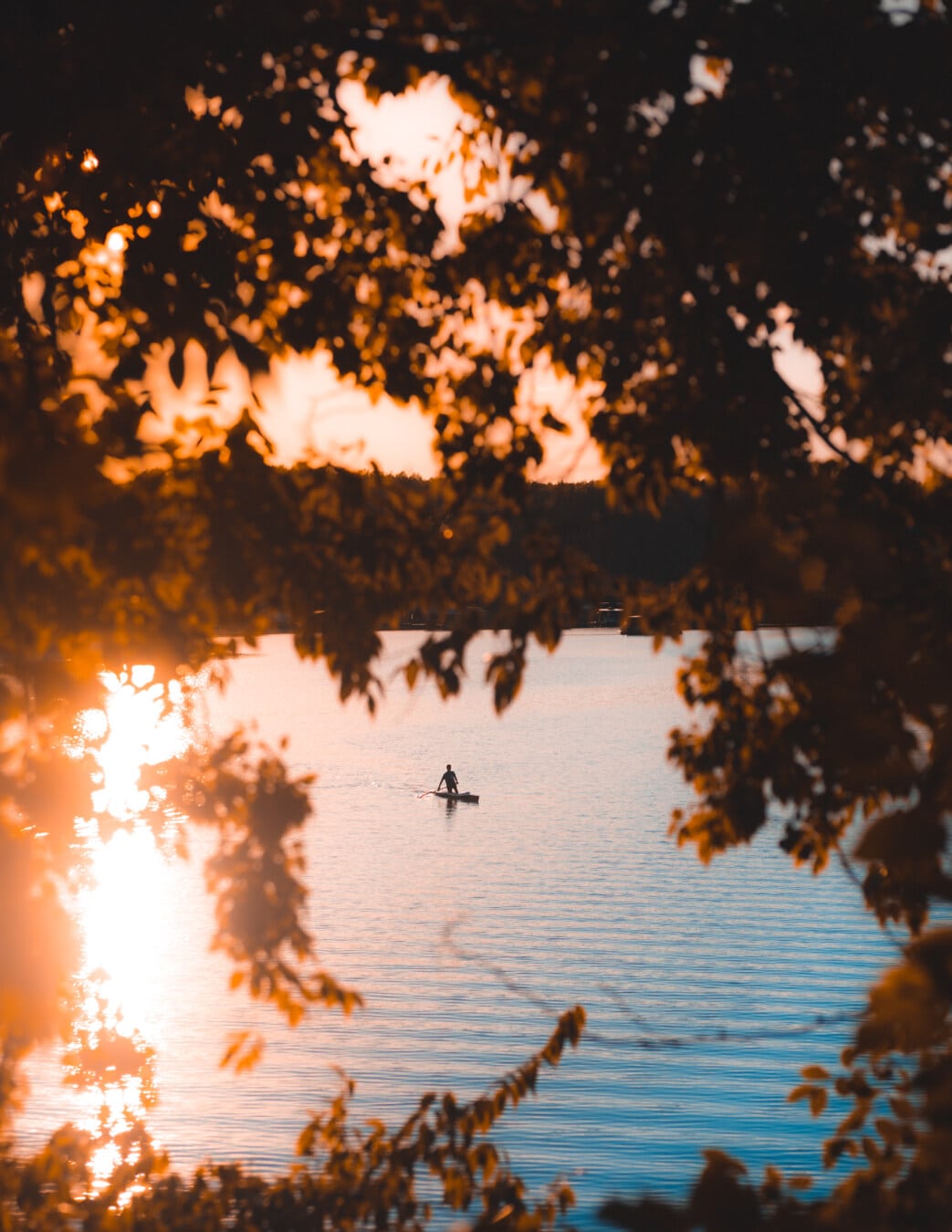 sunset, autumn season, silhouette, sunlight, kayak, person, sun, water, dawn, nature
