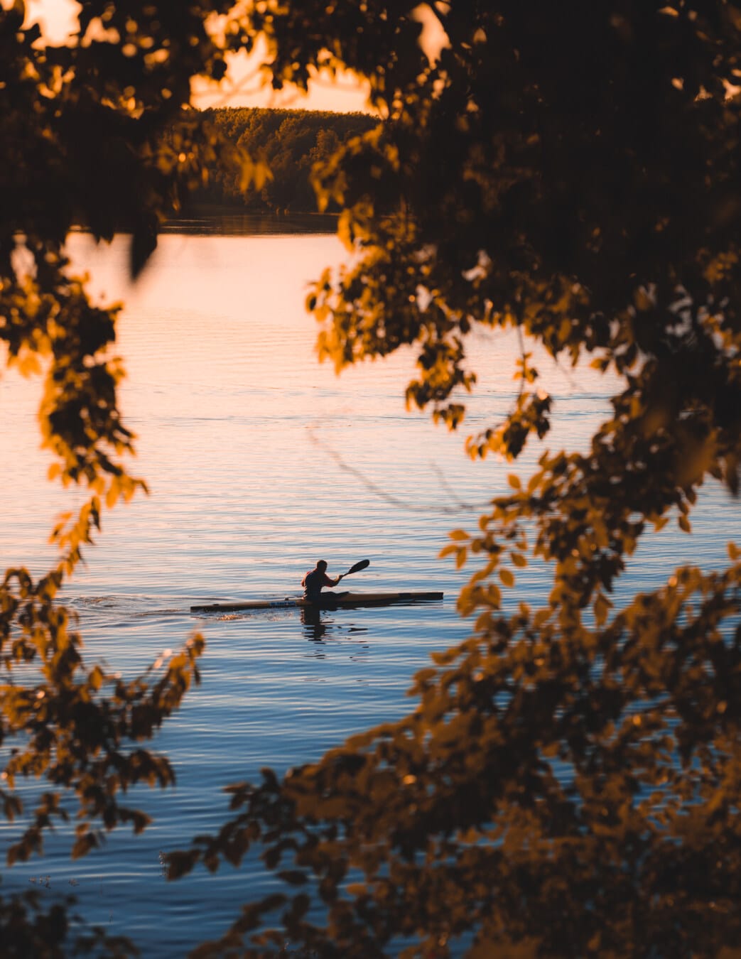 kayaking, lakeside, autumn season, yellowish brown, leaves, water, lake, dawn, reflection, outdoors