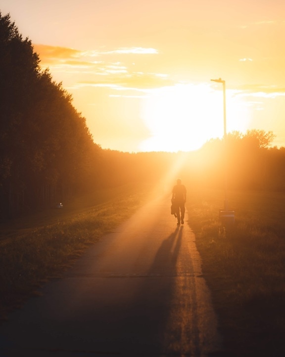 persona, Carretera, sol, caminando, brillo, Luz del sol, retroiluminada, a pie, amanecer, puesta de sol