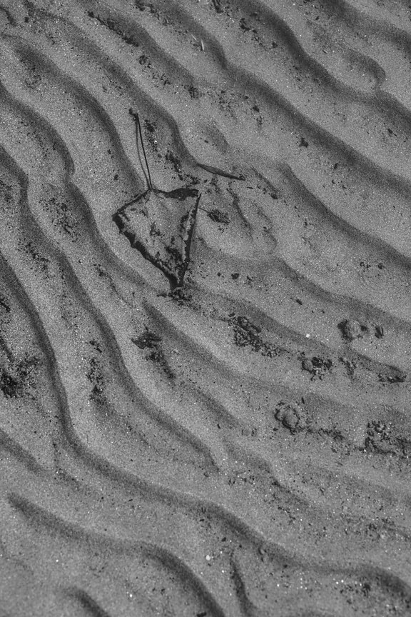 black and white, texture, wasteland, sand, leaf, dirty, earth, soil, pattern, nature