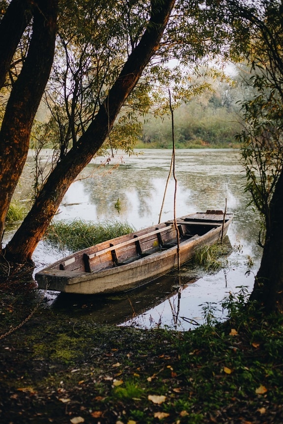 wooden, boat, riverbank, swamp, wetland, old, decay, water, tree, nature
