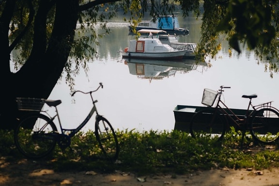 margem do Rio, pequeno, iates, bicicleta, sombra, árvore, água, barco, veículo, paisagem