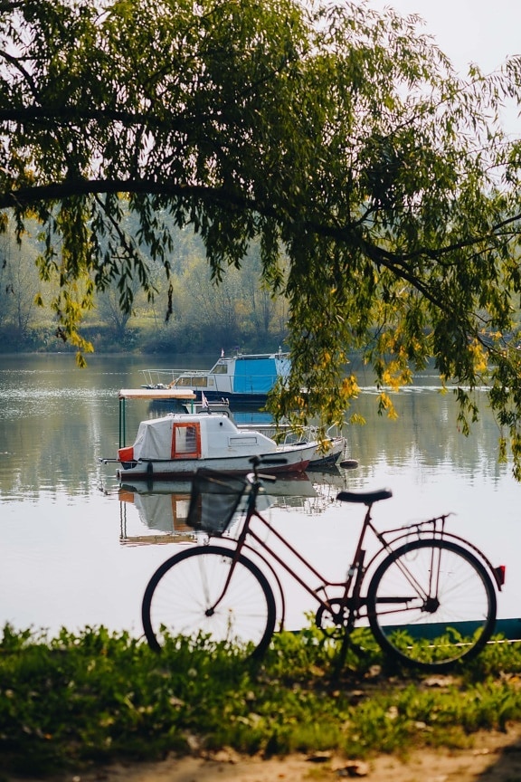 sjön, små, Yachts, cykel, vatten, träd, naturen, floden, Utomhus, parkera