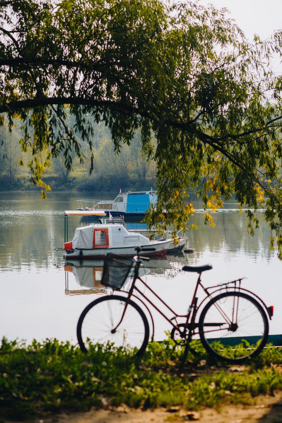tó, kis, jachtok, kerékpár, víz, fa, természet, folyó, szabadban, park