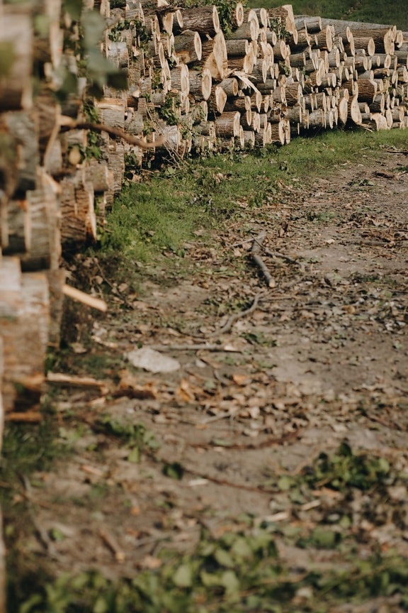 lumber, stacks, wood, firewood, industrial, forest trail, outdoor, forest road, wooden, material