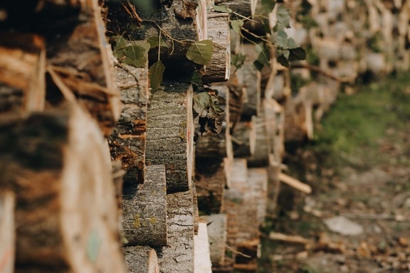 firewood, lumber, tree trunk, industrial, stacks, wood, timber, cross section, nature, outdoors