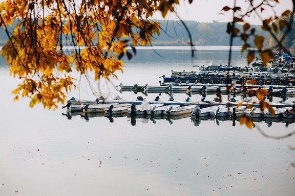 molo, sezon jesień, nad jeziorem, River boat, wody, natura, jezioro, Łódź, Kolor, krajobraz