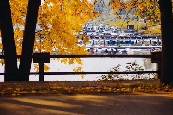 októbra, mólo, jesennej sezóny, cestné, pri jazere, jeseň, strom, Príroda, príroda, Most