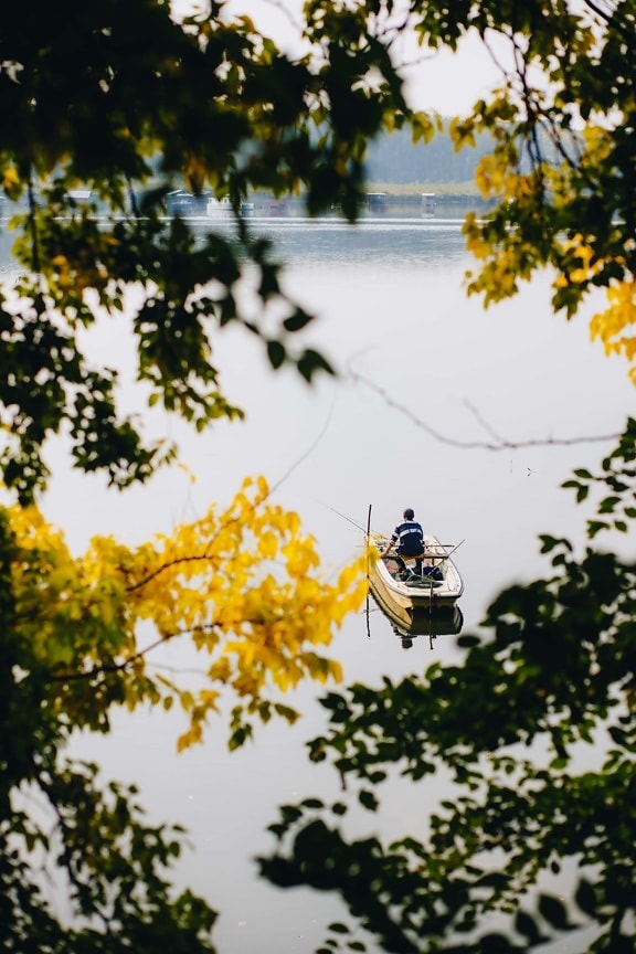 fisherman, fishing boat, lakeside, autumn season, trees, branches, leaves, tree, leaf, autumn