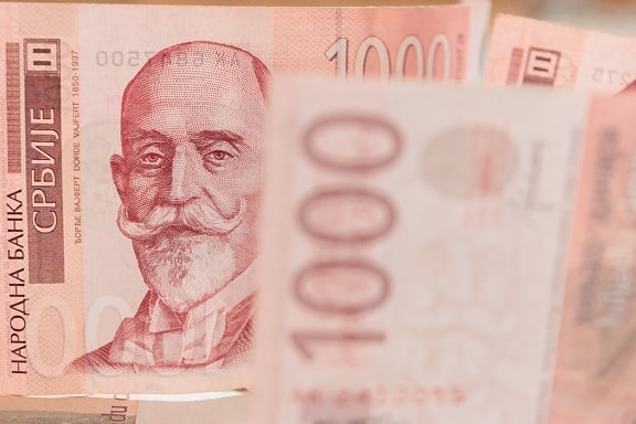 Szerbia, szerb dinár, bankjegy, készpénz, pénz, piros, jövedelem, infláció, pénznem, Pénzügy