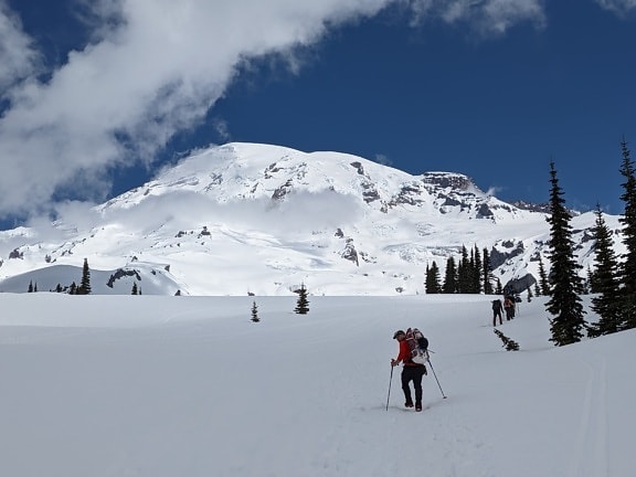 vinter, skiløb, sport, rygsækrejsende, vandretur, bjergbestigning, mand, skiløber, vandreture, sne