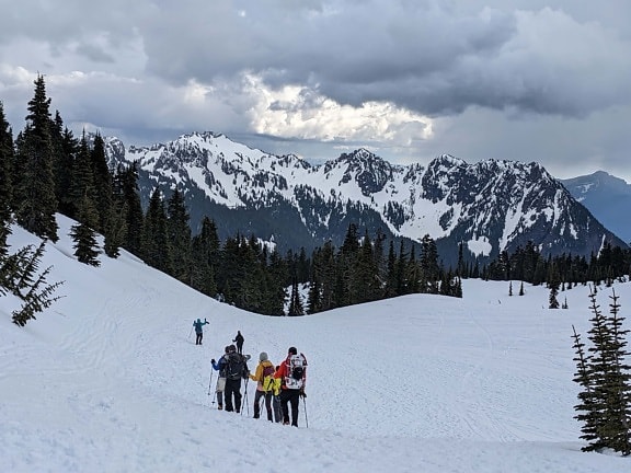 esquiador, esqui, pessoas, Turismo, escalada de montanha, Inverno, desporto, montanhas, neve, paisagem