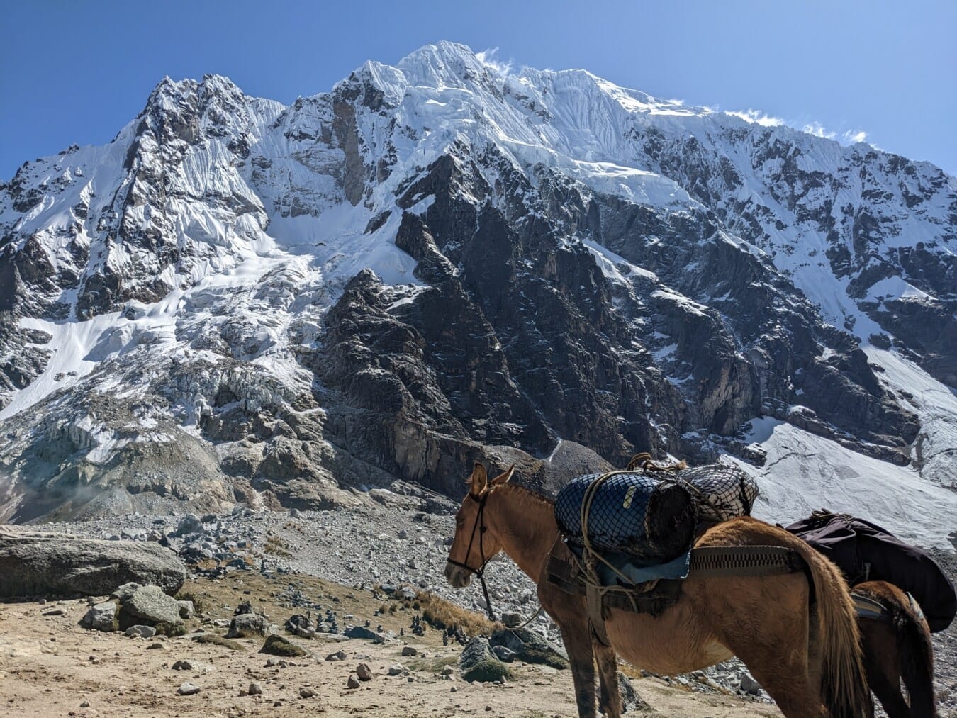 horse, carry, baggage, mountain peak, exploration, expedition, peak, mountains, landscape, mountain