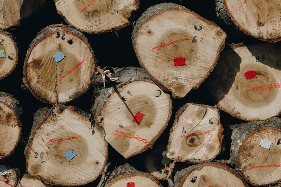 дърва за огрев, промишлени, продукти, производство, дънер, дървен материал, дървен материал, гориво, индустрия, купища