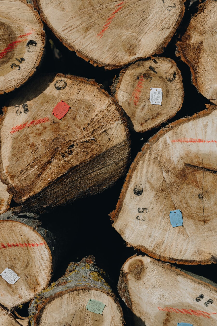 wood, firewood, cross section, products, industrial, hardwood, marketplace, industry, bark, dirty