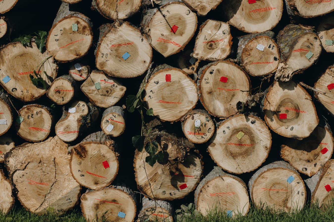 дърва за огрев, продукти, Цена, купища, производство, пазар, твърда дървесина, дървен материал, природата, кръг