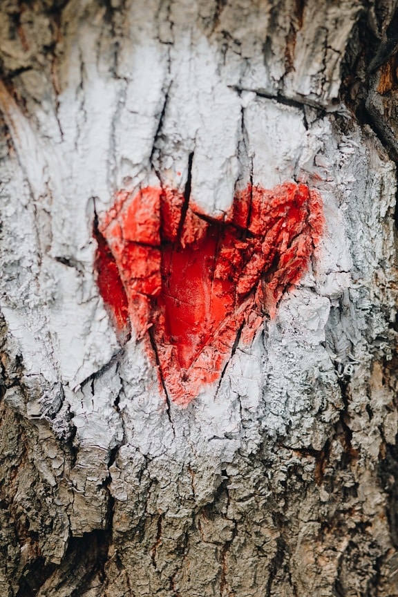 srdce, červená, podepsat, kůra, kmen stromu, symbol, textura, špinavý, dřevo, drsné