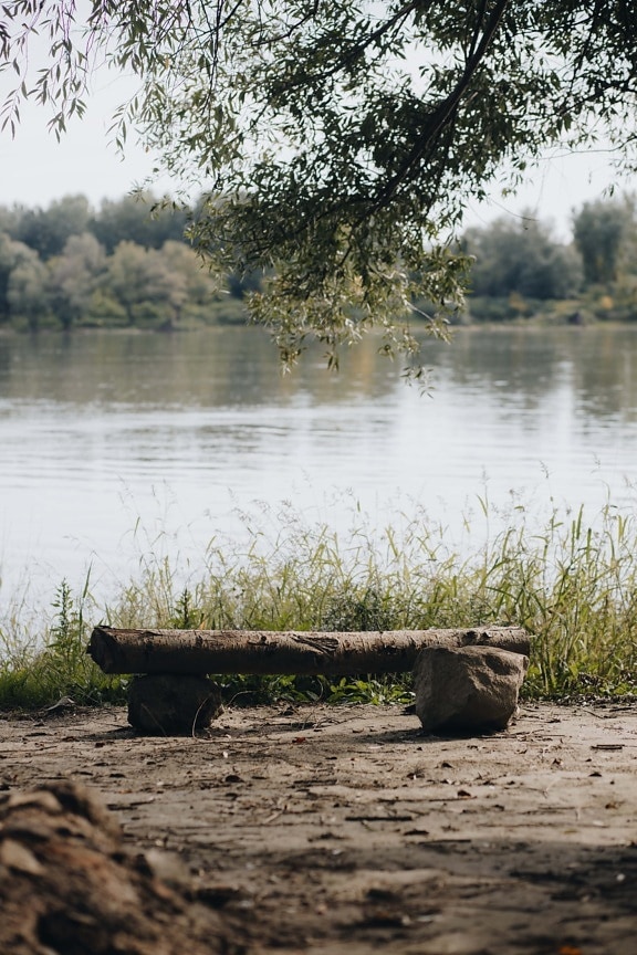 bench, tree trunk, handmade, riverbank, river, water, landscape, tree, nature, outdoors