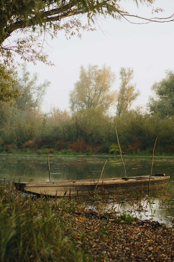 barco, abandonado, madera, orilla del río, canal, lago, tierra, pantano, bosque, paisaje
