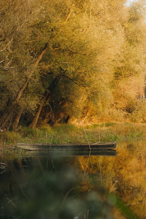 реката, октомври, есенния сезон, канал, дървета, пейзаж, дървен материал, езеро, дърво, вода