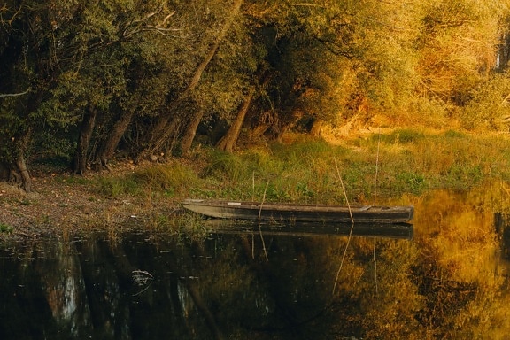 channel, autumn season, wooden, boat, river, landscape, water, swamp, reflection, forest
