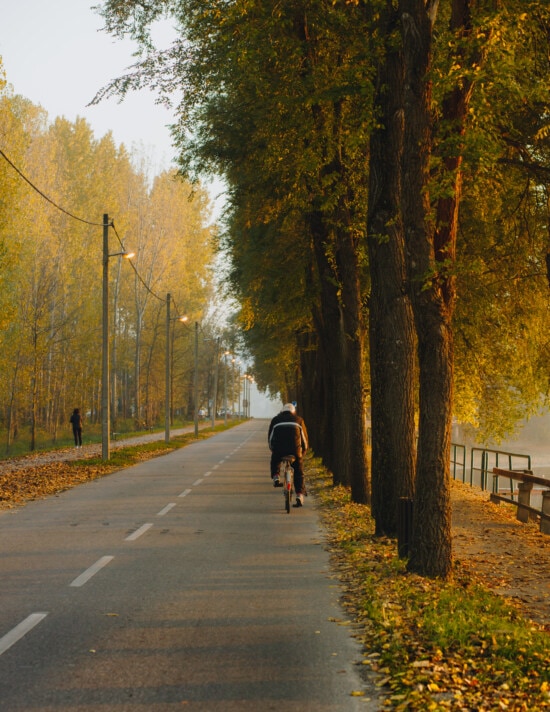 old man, pensioner, bicycling, road, autumn season, alley, trees, park, forest, leaf