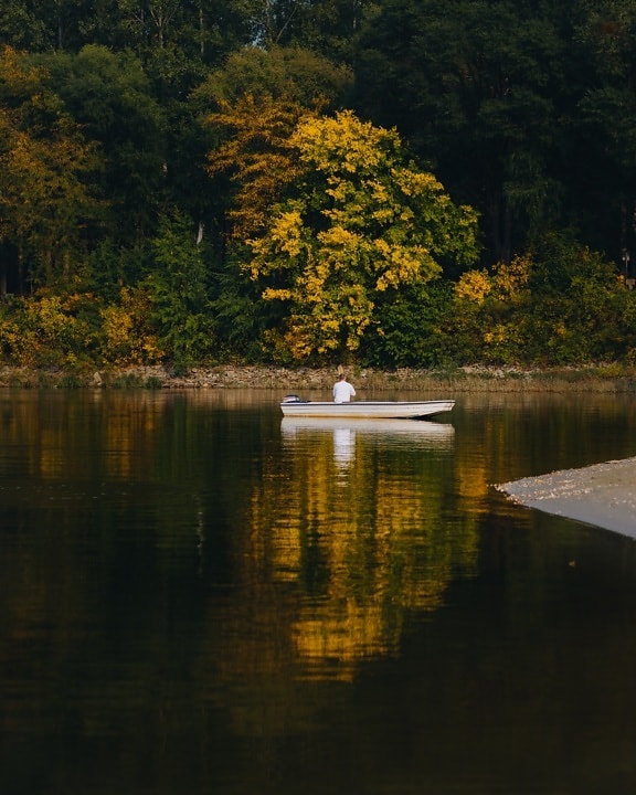 湖, 气氛, 冷静, 秋天季节, 10月, 钓鱼船, 船, 水, 反射, 树