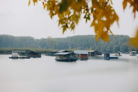 bådehus, ved søen, Resort område, nationalpark, vand, søen, refleksion, natur, landskab, tåge