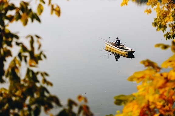 fishing rod, fishing boat, fisherman, distance, lakeside, autumn season, leaf, nature, water, outdoors