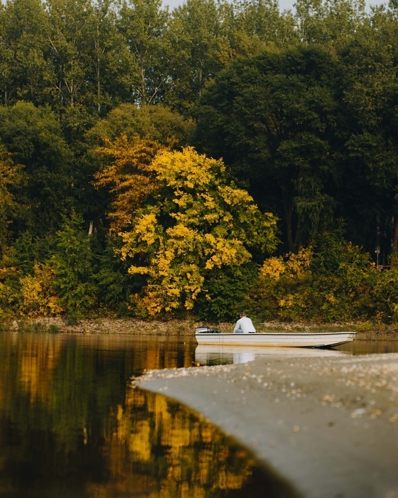 muž, sedící, loď, jezero, podzim, strom, dřevo, krajina, venku, voda