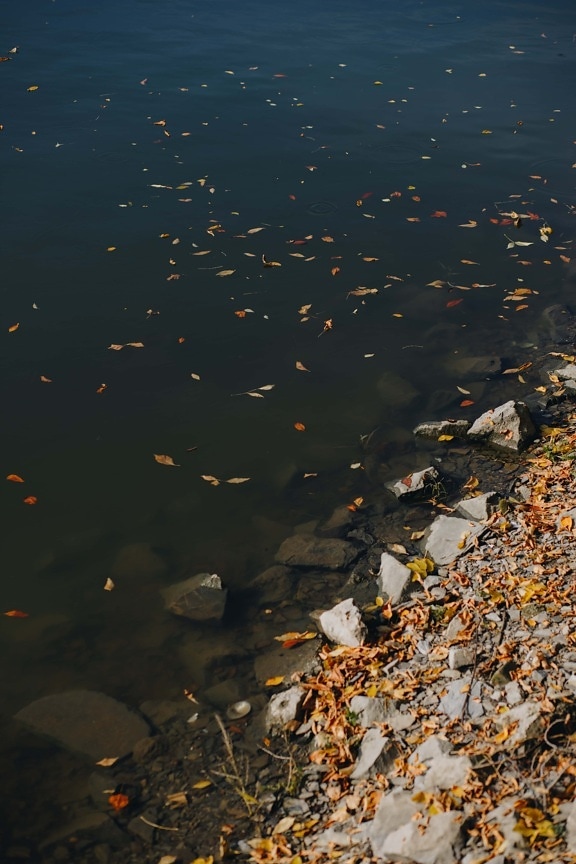 skalnatá řeka, podzimní sezóna, břehu řeky, listy, suché, voda, řeka, příroda, krajina, list
