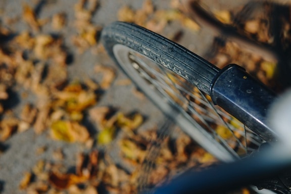 starý štýl, bicyklov, pneumatiky, listy, jeseň, rozostrenie, vonku, príroda, staré, oceľ