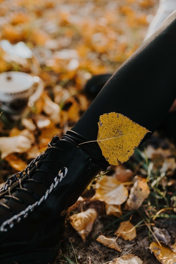 hösten, läder, känga, blad, naturen, foten, Utomhus, skor, skon, gul